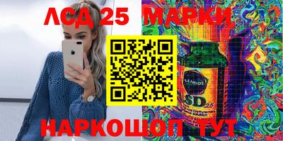 Альфа ПВП Новодвинск