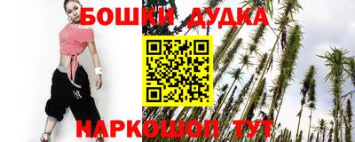 Альфа ПВП Новодвинск