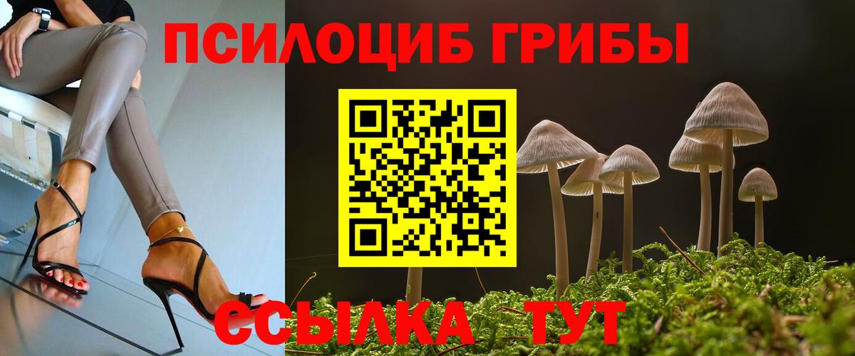 Галлюциногенные грибы прущие грибы  Вход с VPN  Хабаровск 