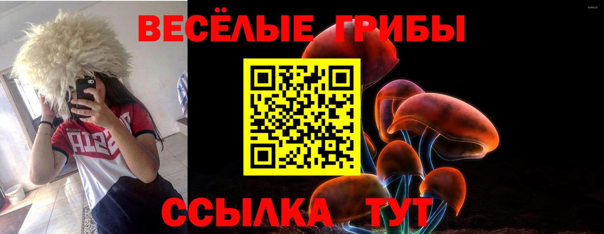 Псилоцибиновые грибы Cubensis Хабаровск
